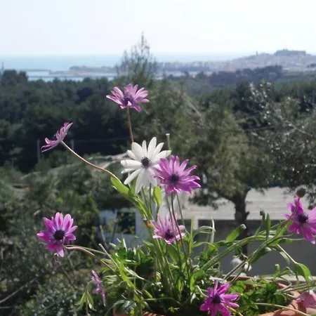 Carabella アパートホテル ヴィエステ