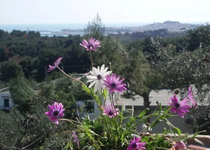 Carabella Apartahotel Vieste