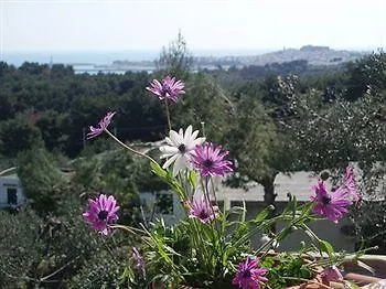 Carabella